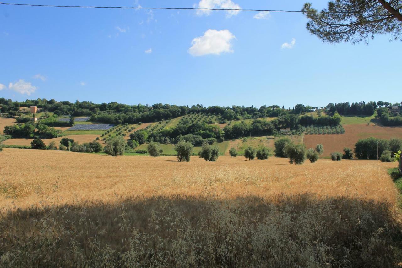 B&B Il Cavallino Civitanova Alta Extérieur photo