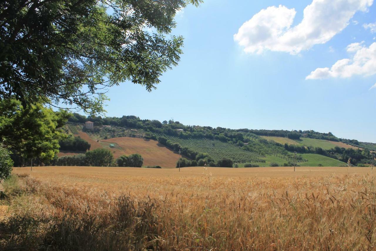 B&B Il Cavallino Civitanova Alta Extérieur photo